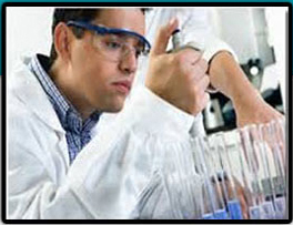 JQ American Corporation