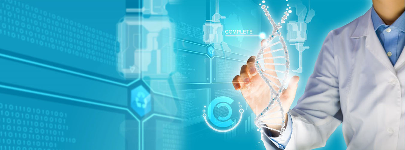 JQ American Corporation