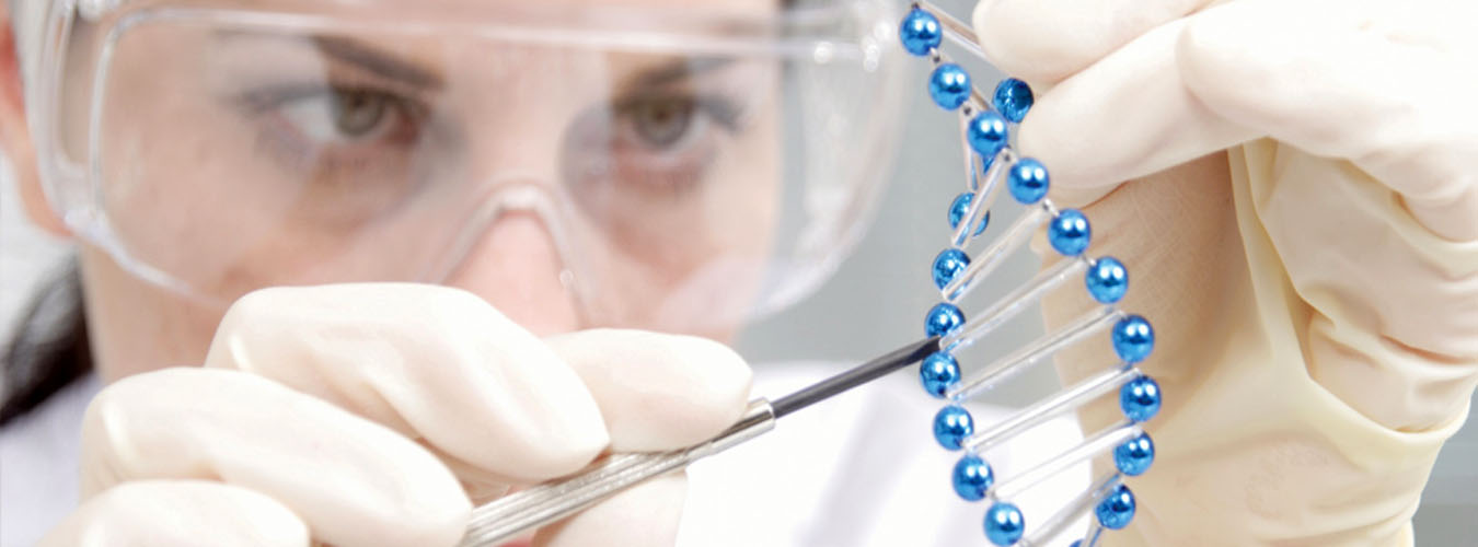 JQ American Corporation